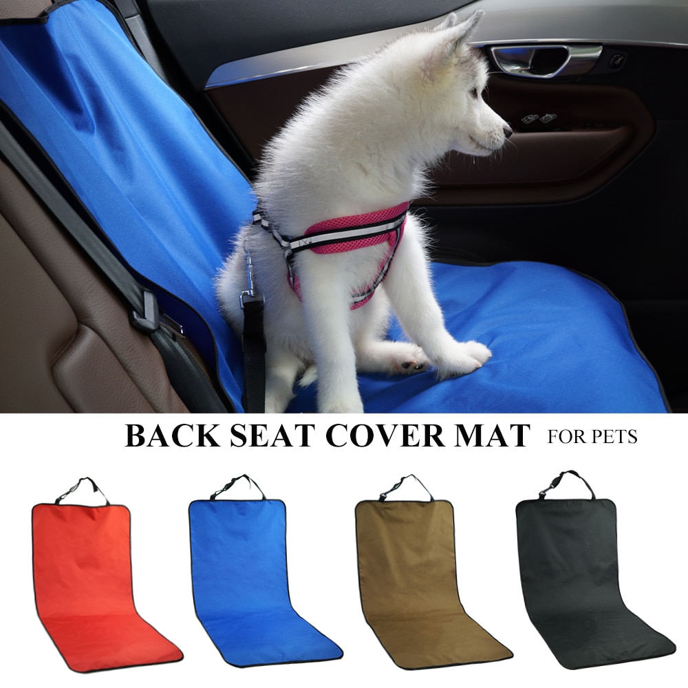 car dog mat